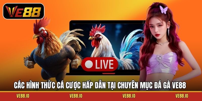 Các hình thức cá cược hấp dẫn tại chuyên mục đá gà Ve88