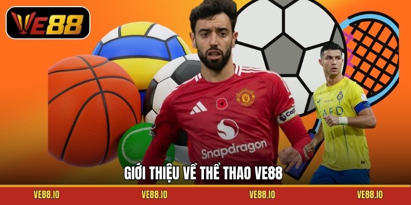 Giới thiệu về thể thao Ve88