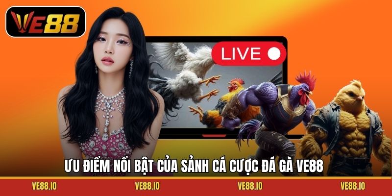 Ưu điểm nổi bật của sảnh cá cược đá gà Ve88